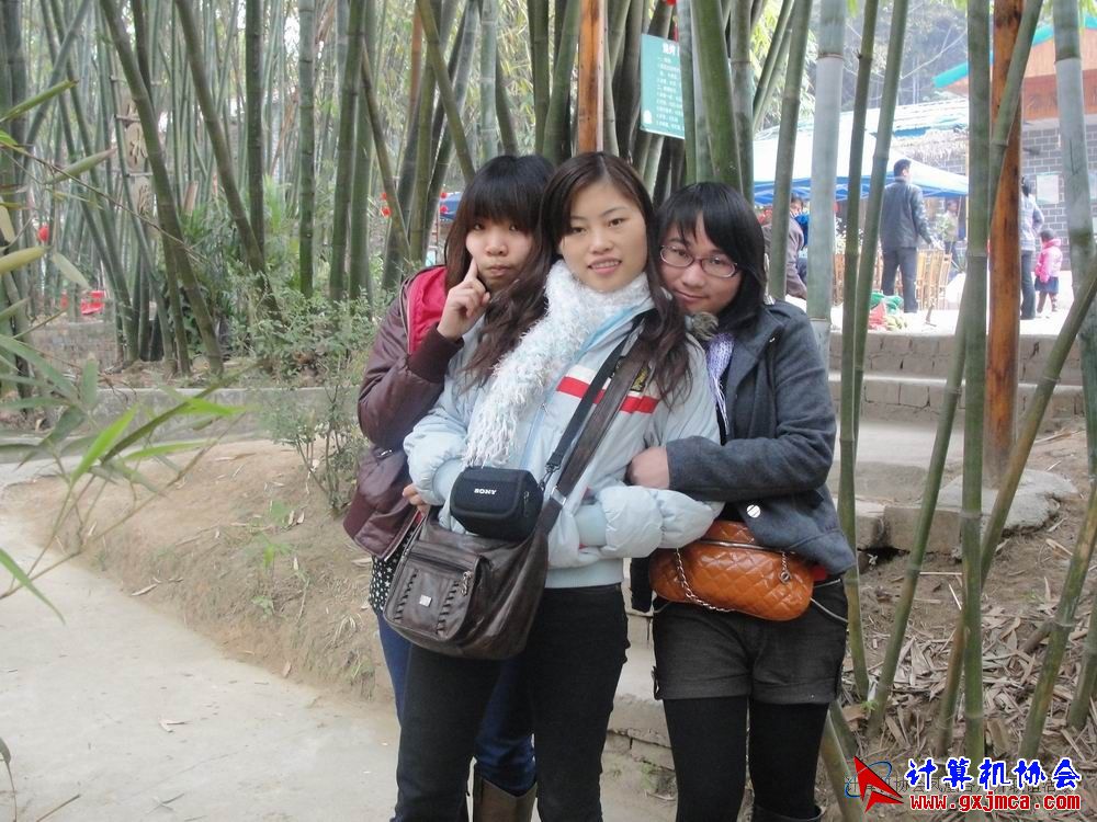110107ca1382.JPG