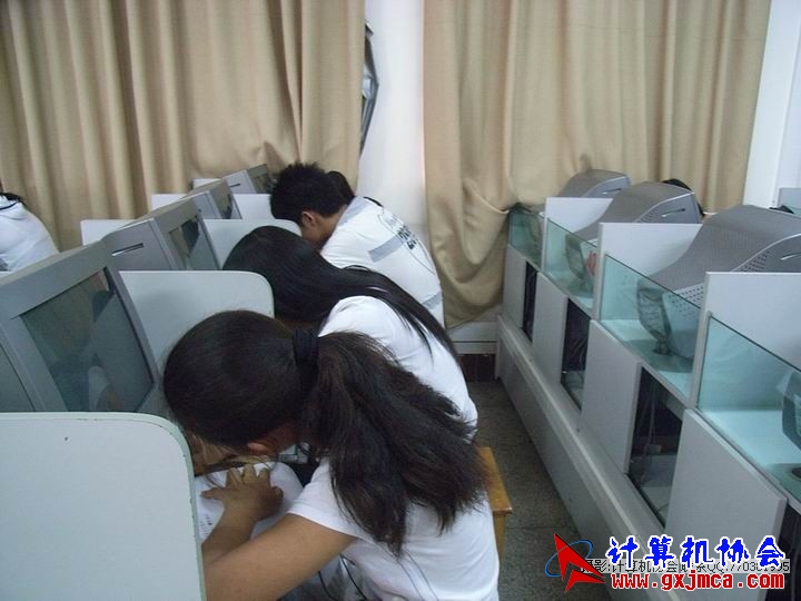 081028CAMX10.JPG