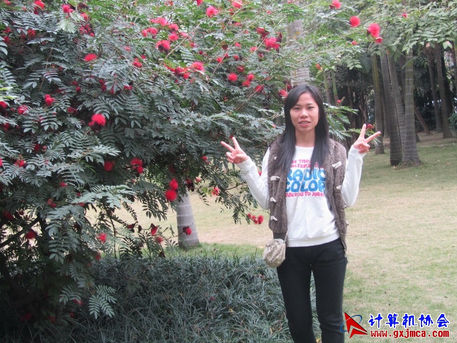 111201ca012.JPG