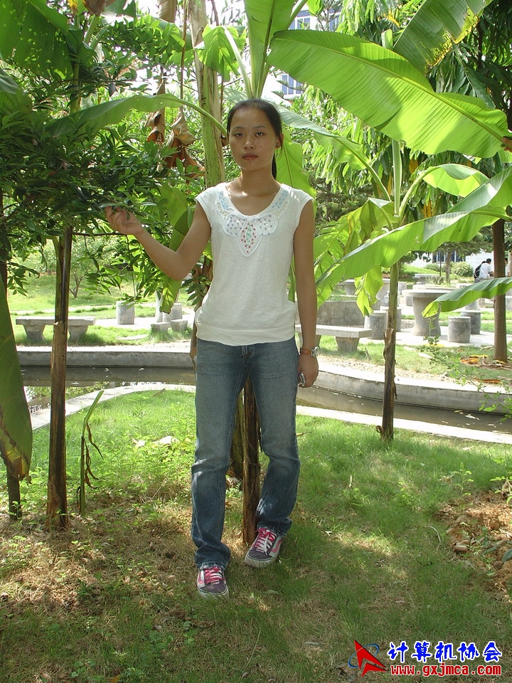 _CD3353.jpg