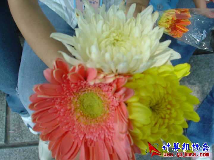 06410CASM08.JPG
