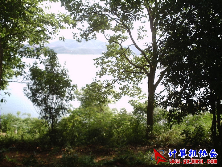 060514CA0799.JPG