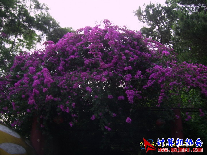 060514CA0967.JPG