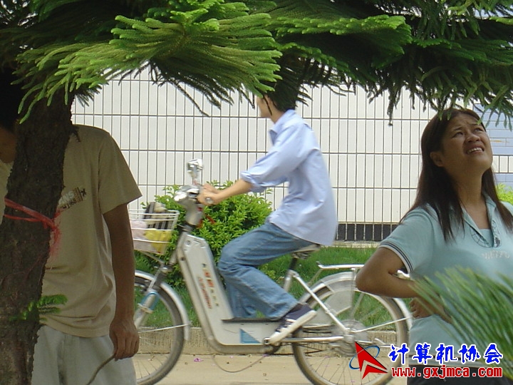 060615ZB43.JPG