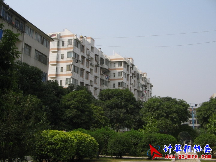 061021CA032.jpg