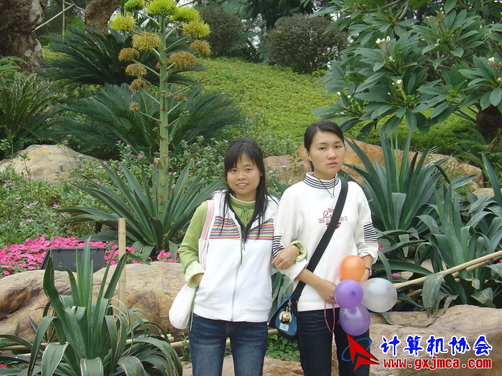 061203SKD981.JPG