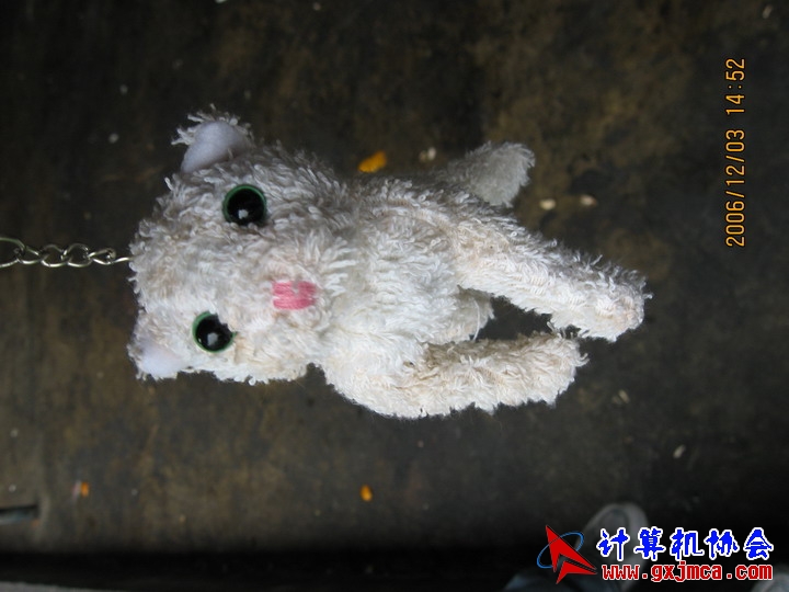 061203SKE1280.JPG