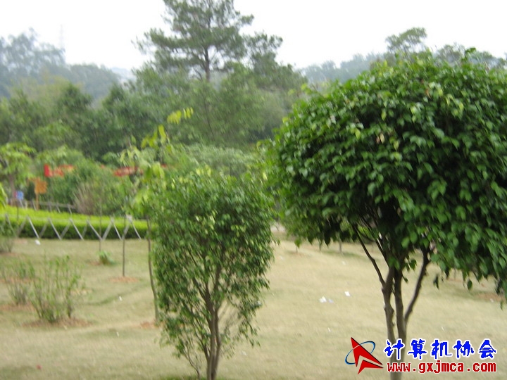 061203SKF1373.jpg