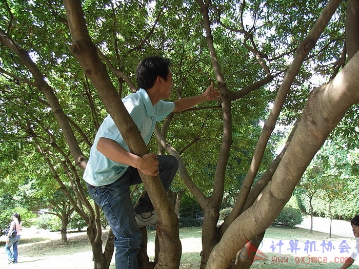071029XCB118.jpg