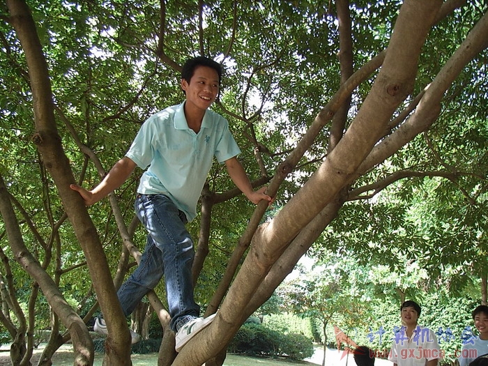 071029XCB120.jpg