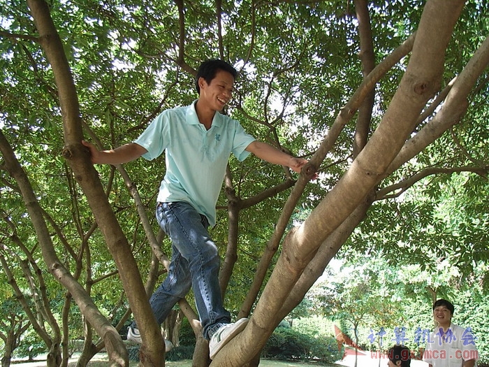071029XCB121.jpg