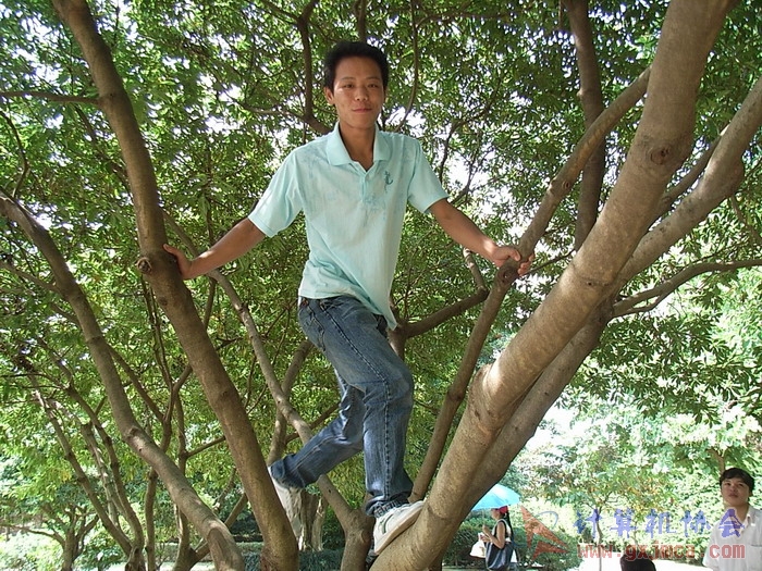 071029XCB123.jpg