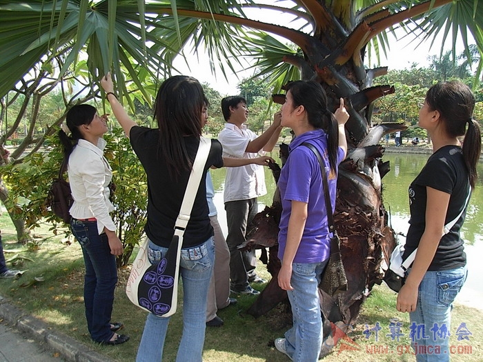 071029XCB137.jpg