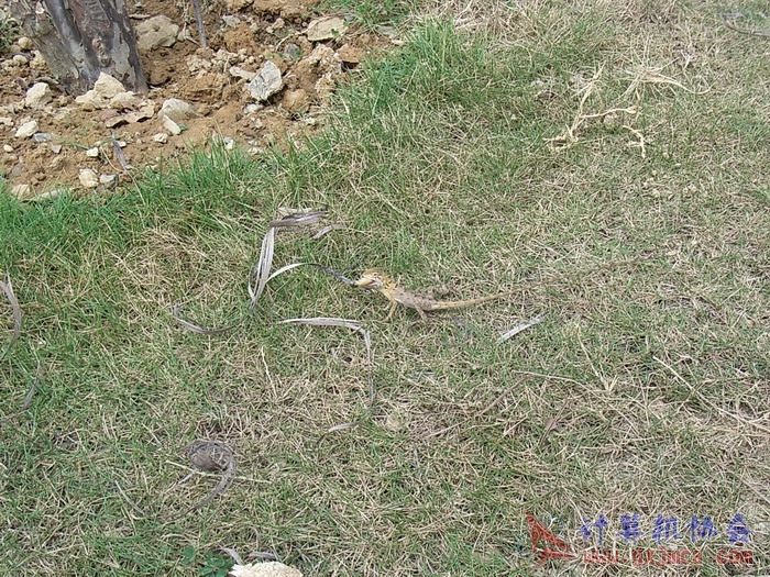 071029XCB148.jpg
