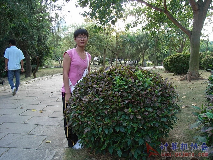 071029XCB305.jpg