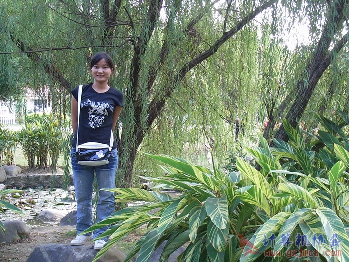 071029XCB315.jpg