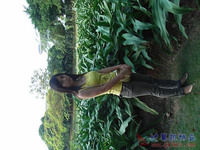 071029XCB318.jpg