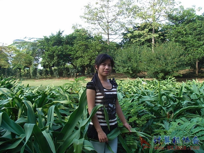 071029XCB319.jpg