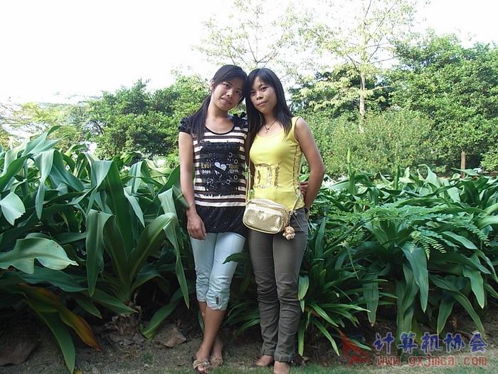 071029XCB320.jpg