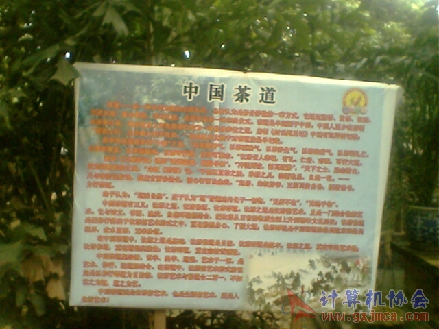 071118CA2703.jpg