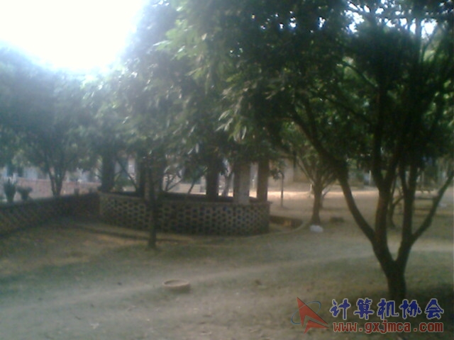 071118CA2739.jpg