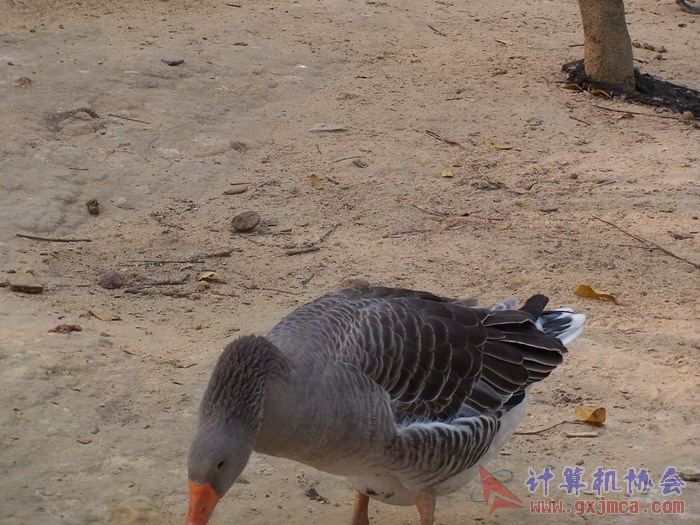 蚂蚁山庄照片 120.jpg