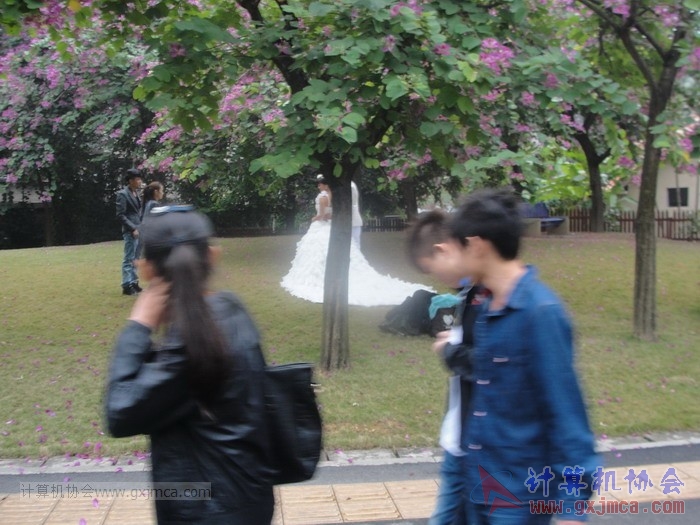 121125jsb012.JPG