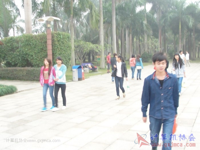 121125jsb030.JPG