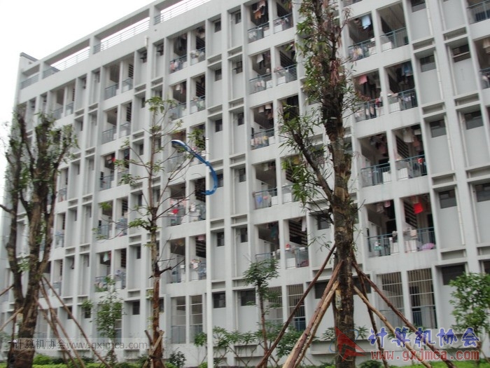 121201ca179.JPG
