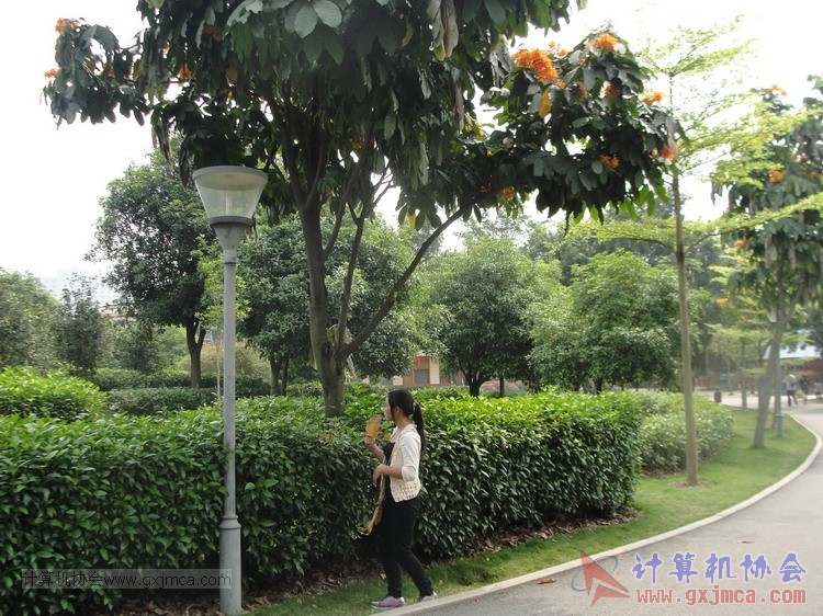 20130324xcb165.JPG