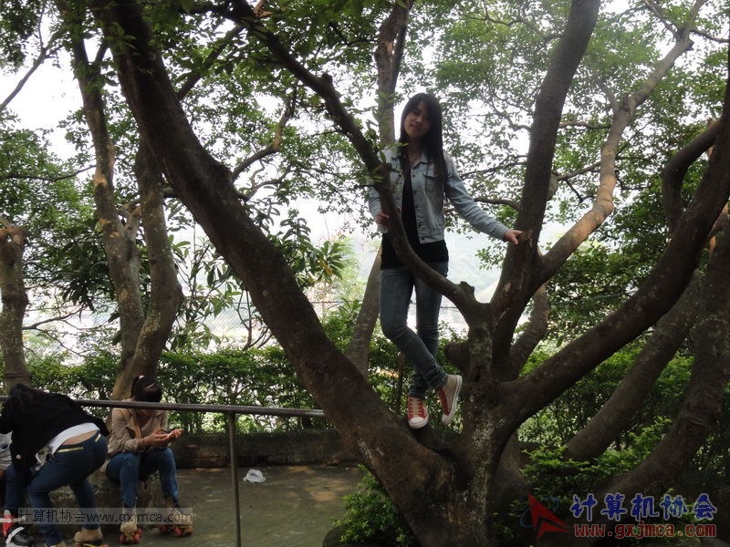 130413rsb394.JPG