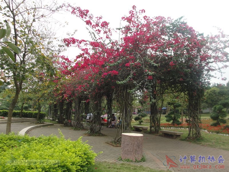 130420wlb147.JPG