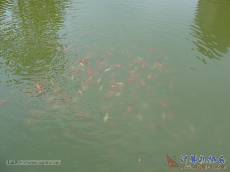 130420wlb149.JPG