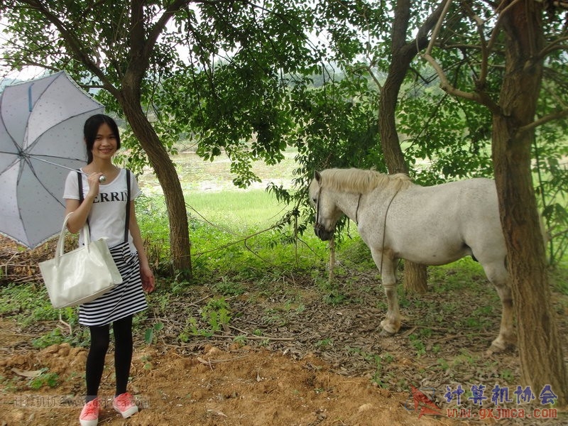 130420wlb206.JPG