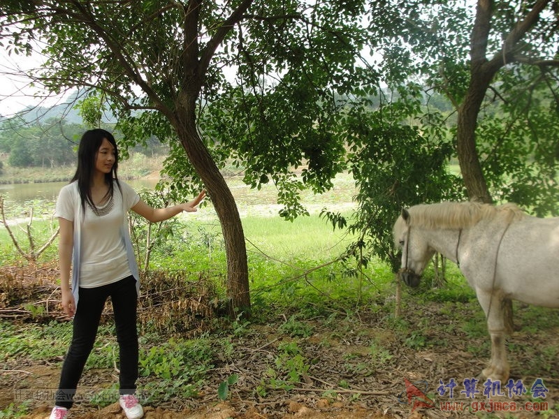 130420wlb208.JPG