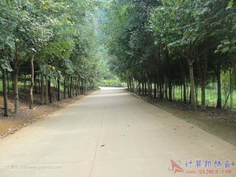 130420wlb213.JPG