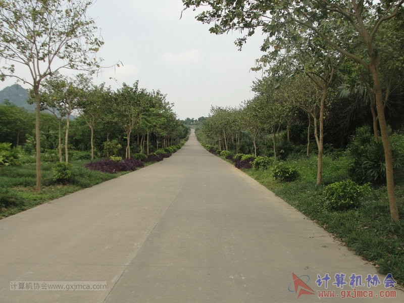 130420wlb216.JPG