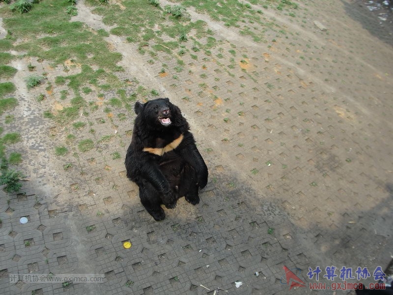 130420wlb221.JPG
