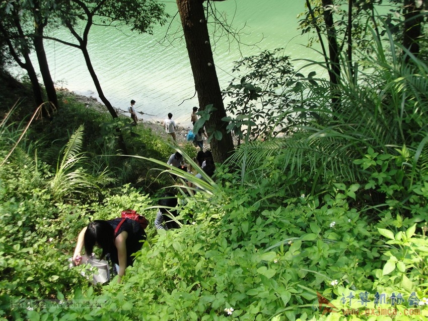 130512cajy519.JPG