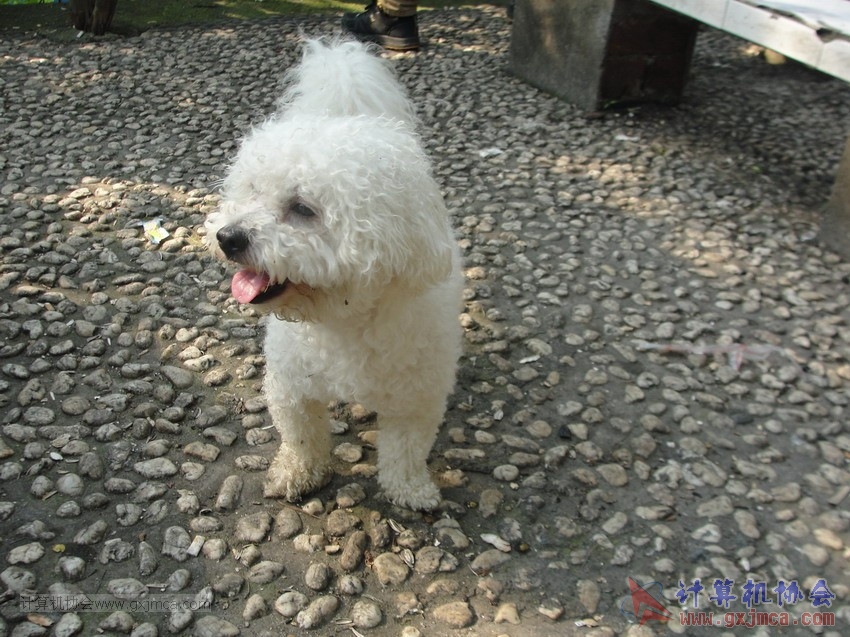 130512cajy592.JPG