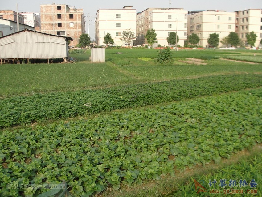 130512cajy643.JPG
