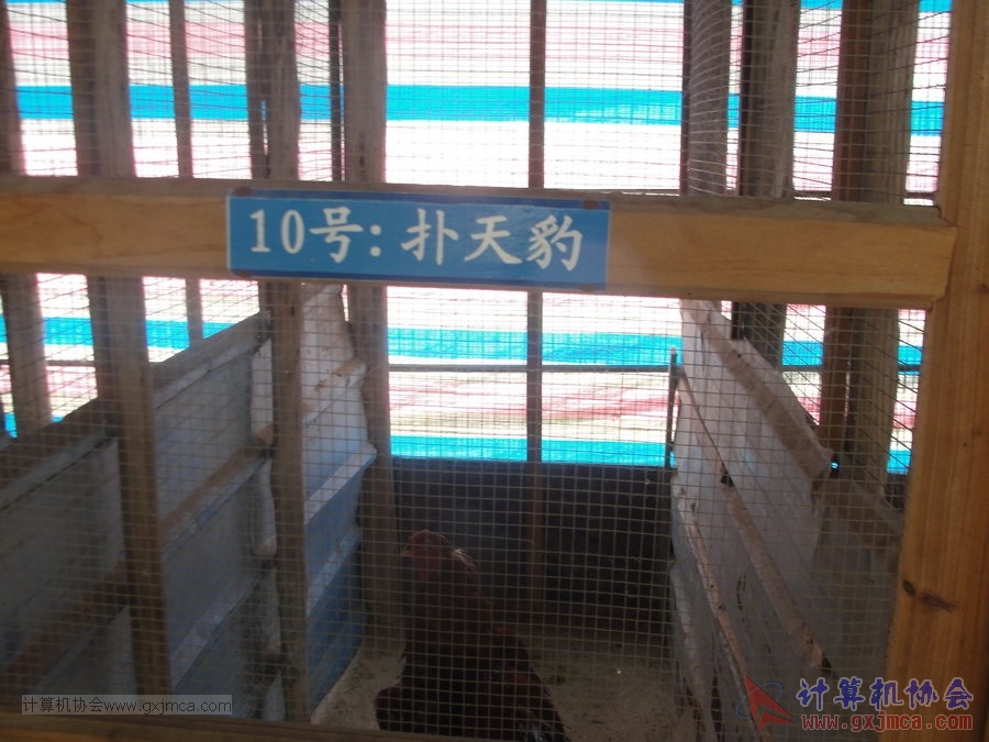 130525ca0853.JPG