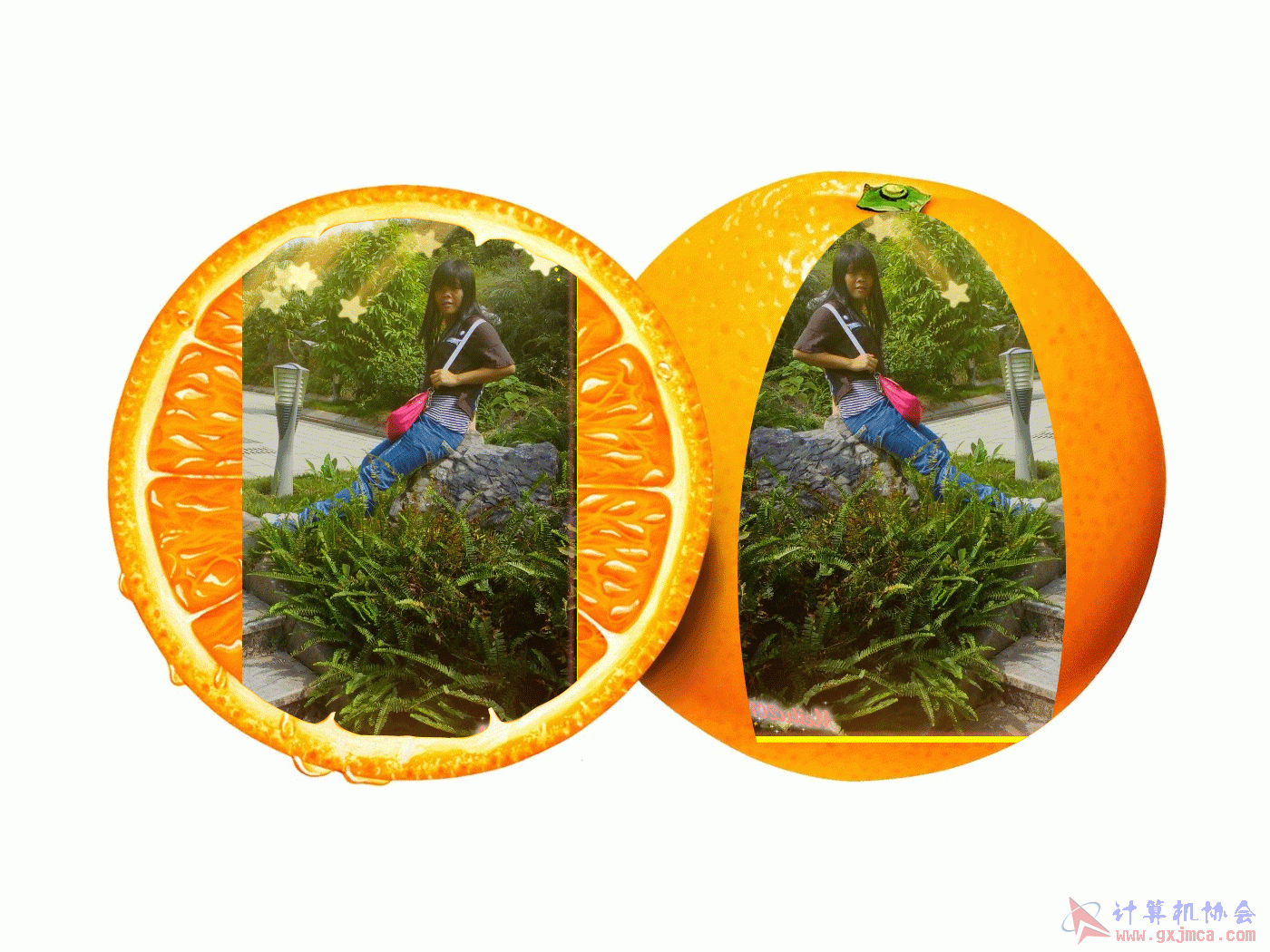 1011111.gif