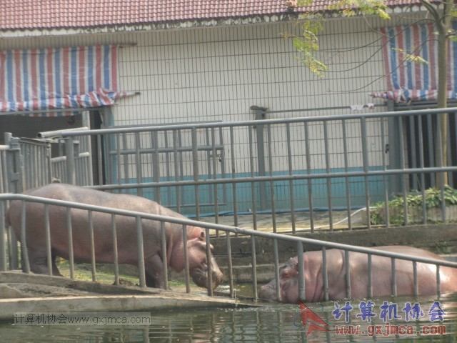 131208yw24.JPG