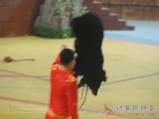 131208yw47.JPG
