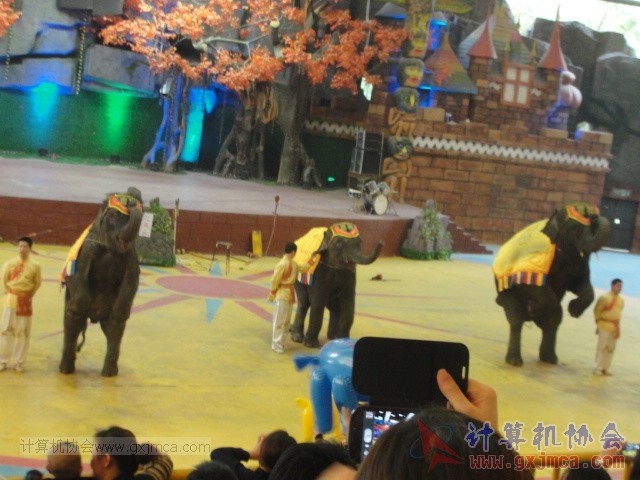 131208yw54.JPG