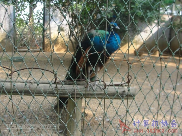 131208yw64.JPG