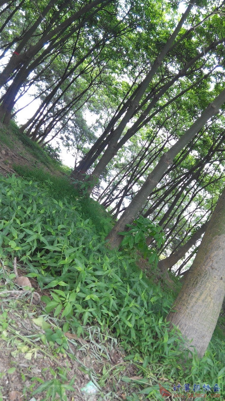 140426ca1860.jpg
