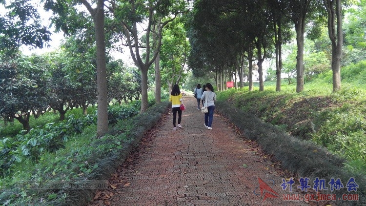 140426ca1852.jpg
