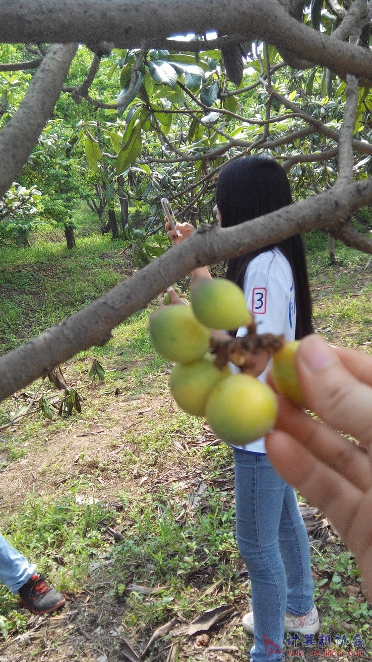 140426ca1839.jpg